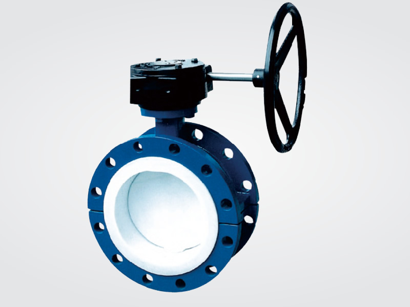 FEP flange butterfly valve