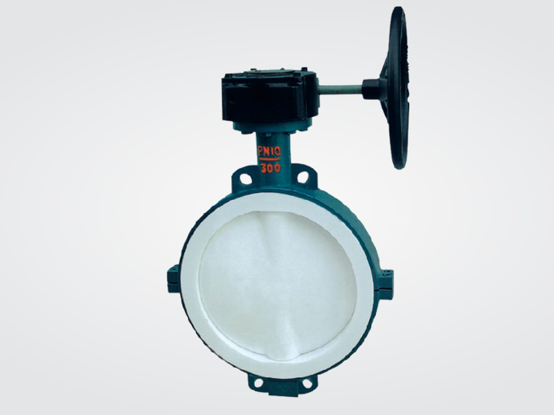 FEP Wafer butterfly valve