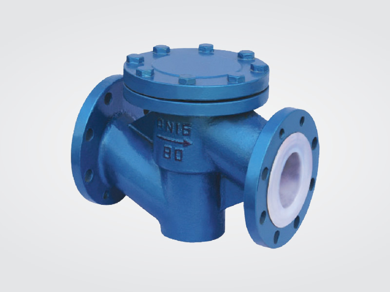 FEP Check Valve